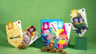 Cannabissamen kaufen und passende Sorten auswählen
